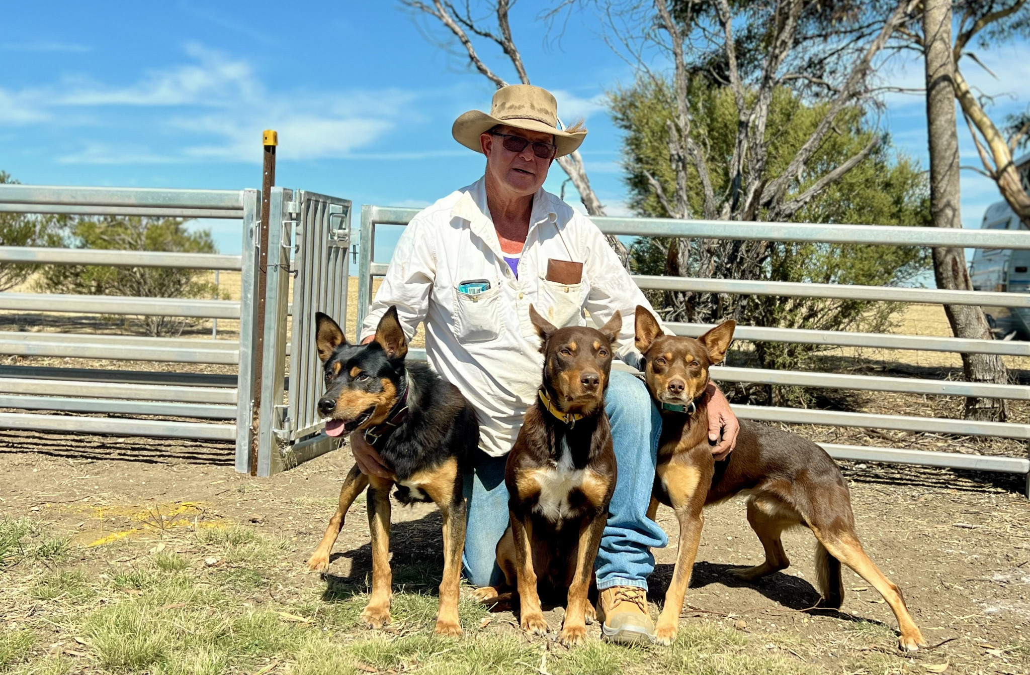 Harrow’s Herb Cooper will take the judge’s seat at the 133rd Natimuk Show, bringing his expertise in working dogs to the competition. A proud kelpie owner, with Squirt, Exell and Noah by his side, Mr Cooper will assess the show’s top contenders this weekend at Natimuk Showgrounds.
