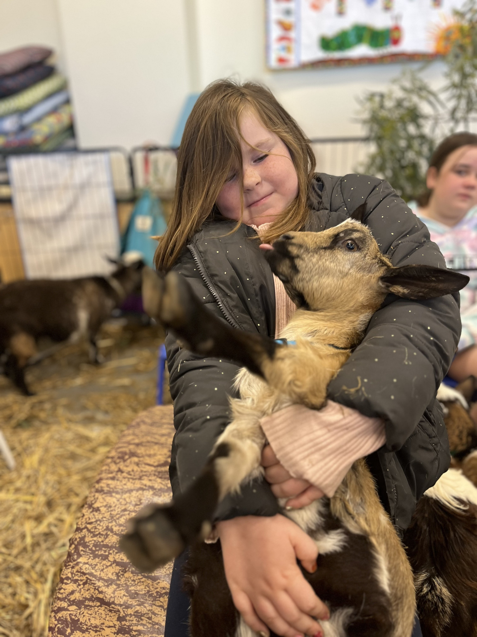 Ciara Maybery, 6, cuddling the tiny goats at the Horsham Library.