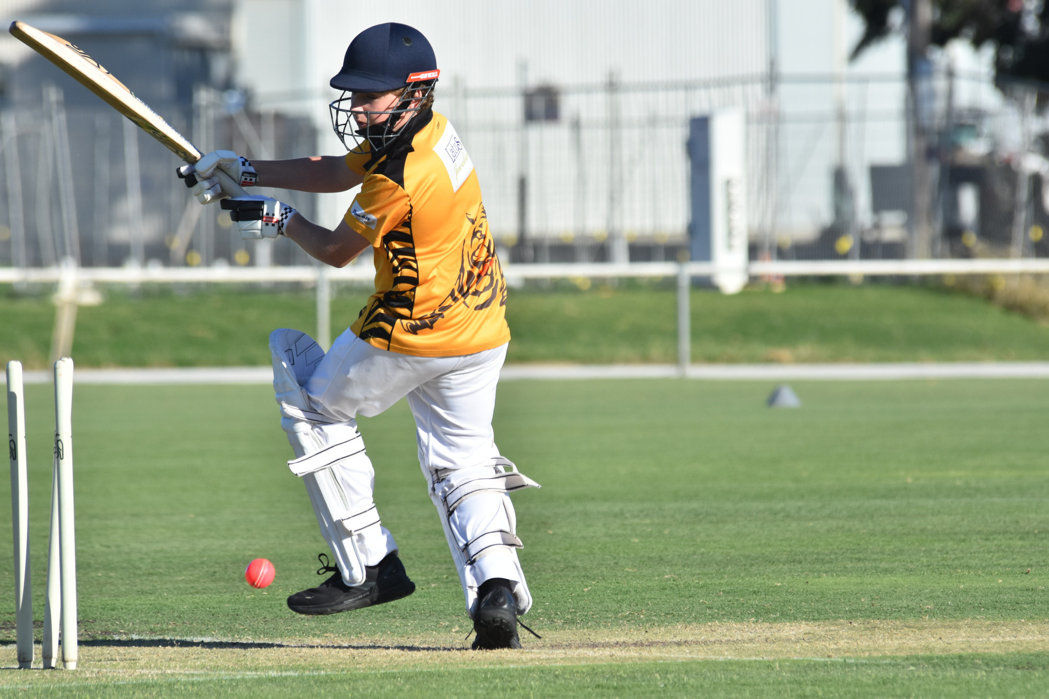 Tigers’ Jordan Terry gets bowled by William McCurdy. PHOTO: CHRIS GRAETZ