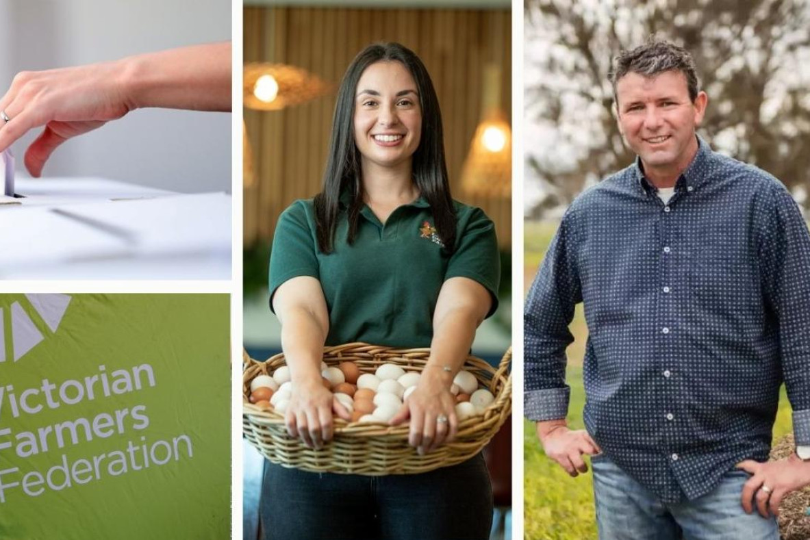 Voting to decide whether Danyel Cucinotta or Brett Hosking becomes the next president of the Victorian Farmers Federation commences on Monday. Pictures supplied