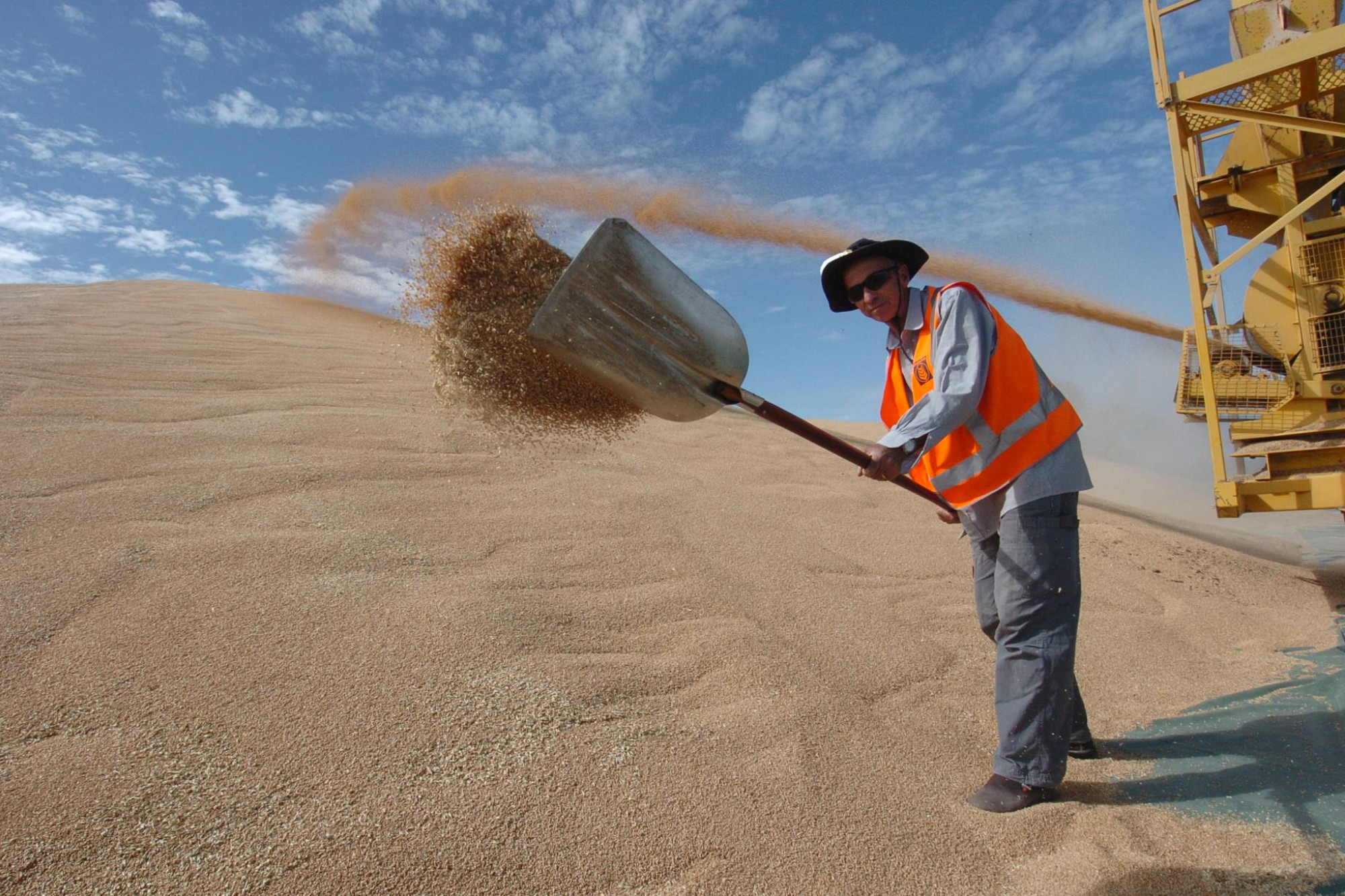 A favourable and relatively early start to harvest in Queensland and NSW has been reflected in the 5.8 million tonnes of grain received at GrainCorp silos so far. File picture