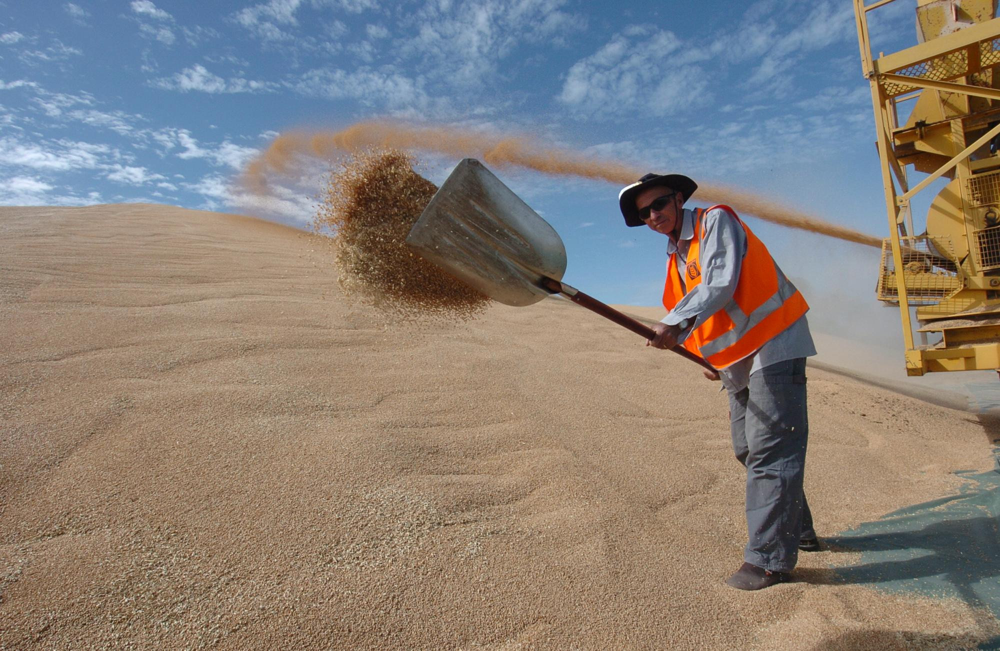 A favourable and relatively early start to harvest in Queensland and NSW has been reflected in the 5.8 million tonnes of grain received at GrainCorp silos so far. File picture