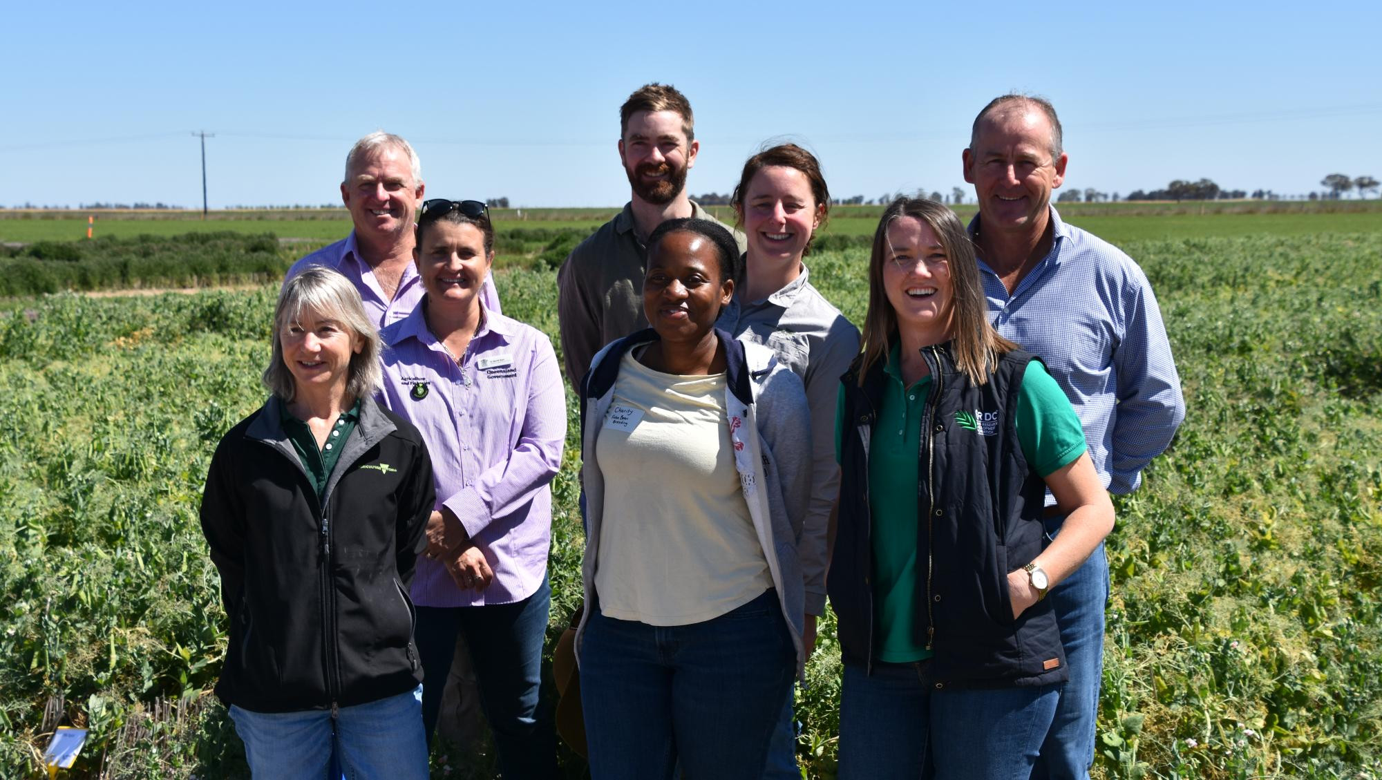 Pulse research and developers across multiple species will be involved in the new plant protein project. These researchers caught up at the Wimmera Pulse Field Day at Rupanyup. Picture by Gregor Heard. 