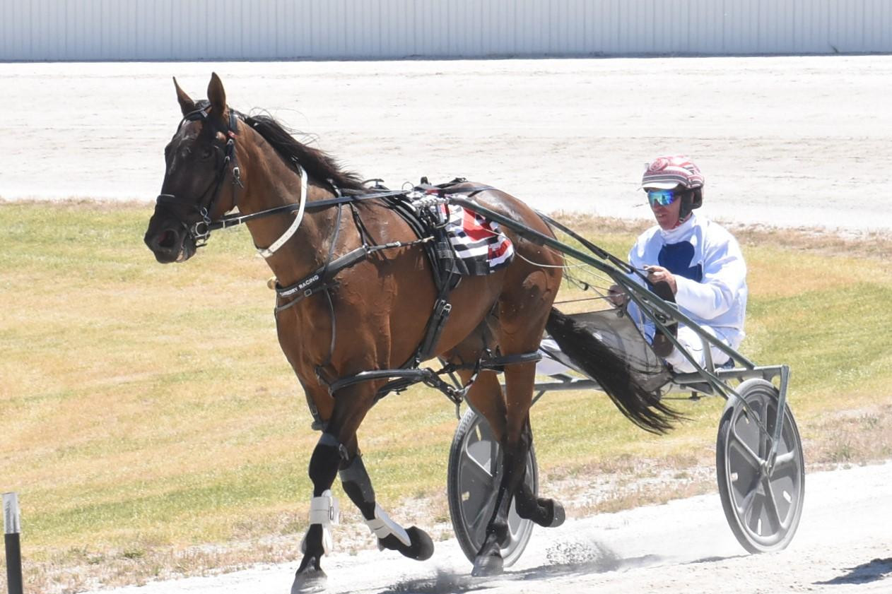 Driver Michael Bellman takes out Judith McLeod Memorial Pace at Stawell on January 24 with Vinny Rock. Picture by Claire Weston Photography