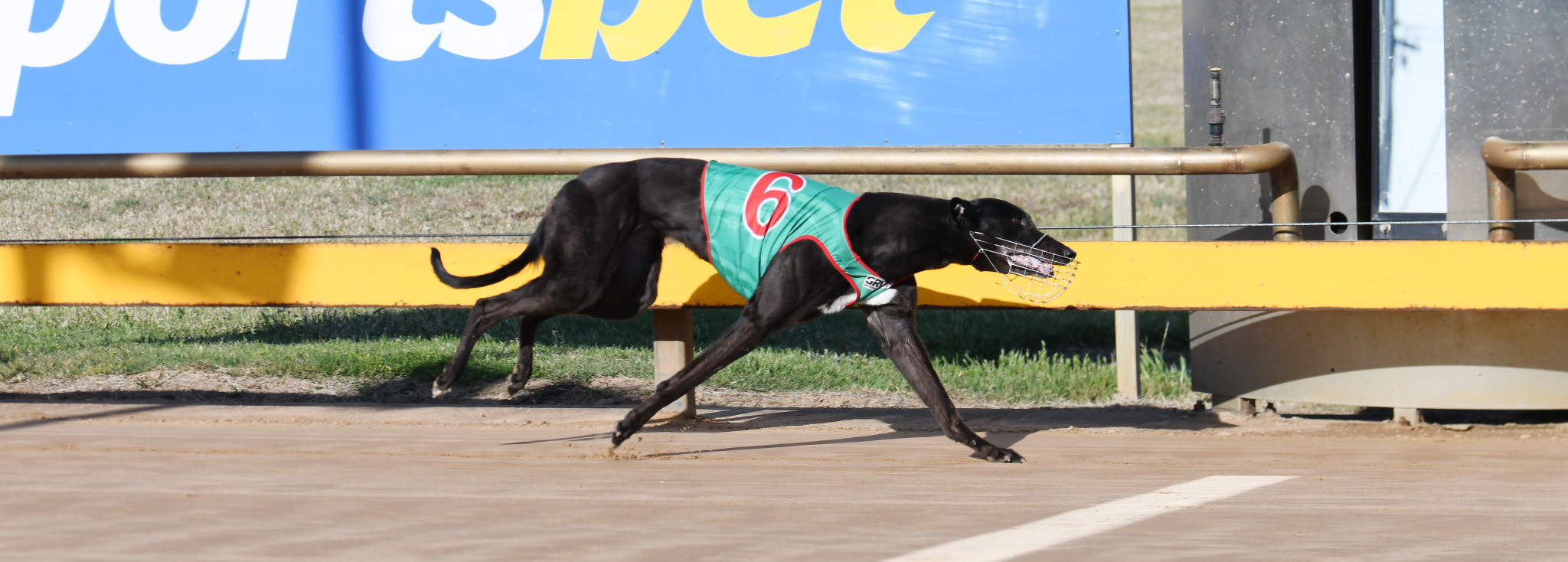 Mean Peace Winning for Garry George on Tuesday. PHOTO: PETER CARTER