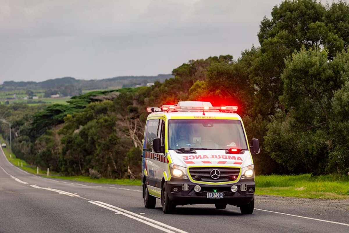 Ambos in Hindmarsh among best responders - feature photo
