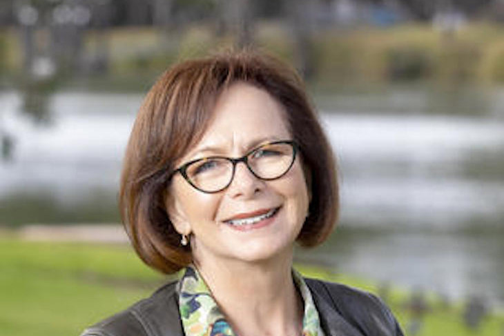 Dr Anne Webster