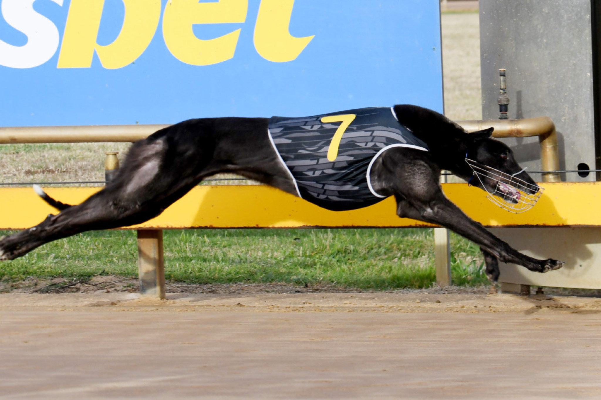 Cortez Bale Winning for Andrea Gurry in a flying 22.93. PHOTO: PETER CARTER