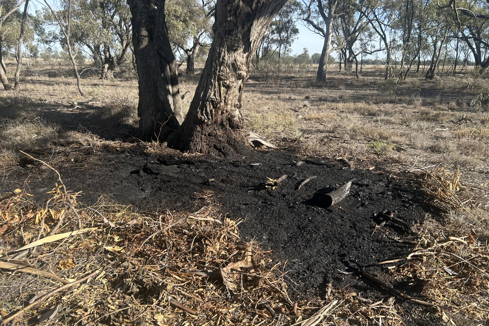 Burnt land from one of the four fires lit on Tarrant Road, Warracknabeal, on May 3. Photo: WARRACKNABEAL POLICE