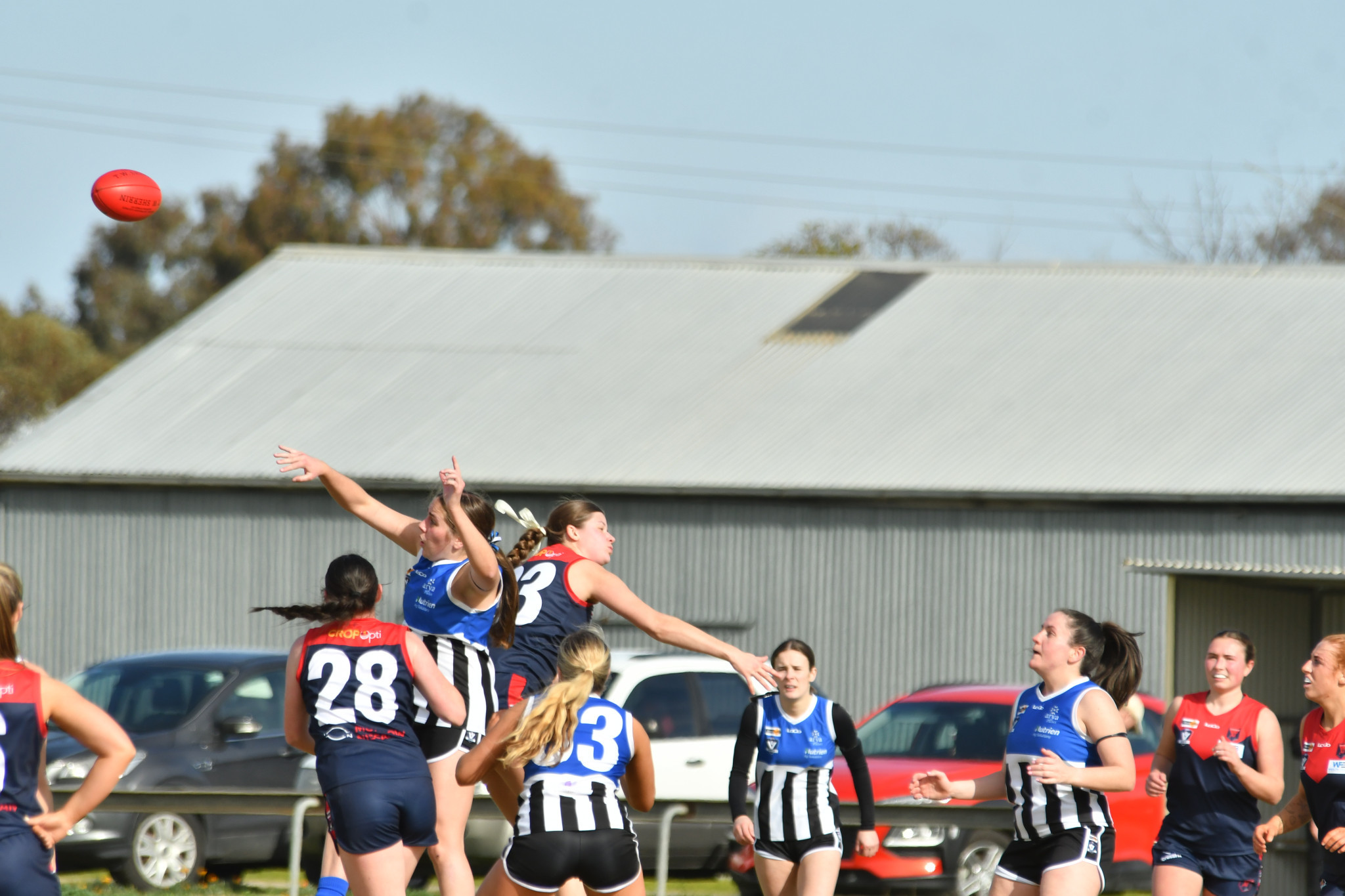 Minyip Murtoa's Jayde Ellis and Laharum's Poppy O'Shea compete in the ruck.