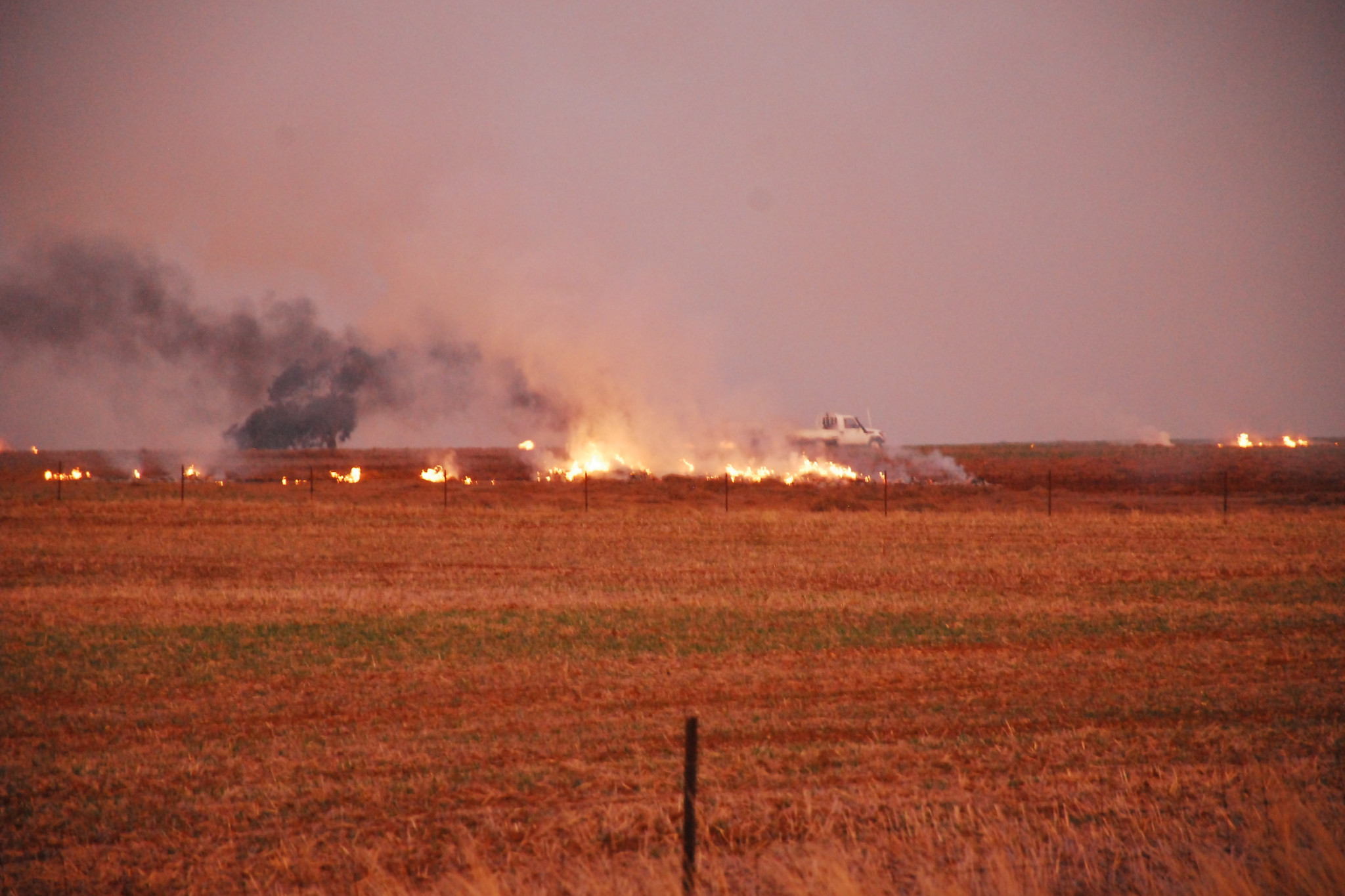 Harvest maintenance is vital to help reduce the risk of fires over harvest.