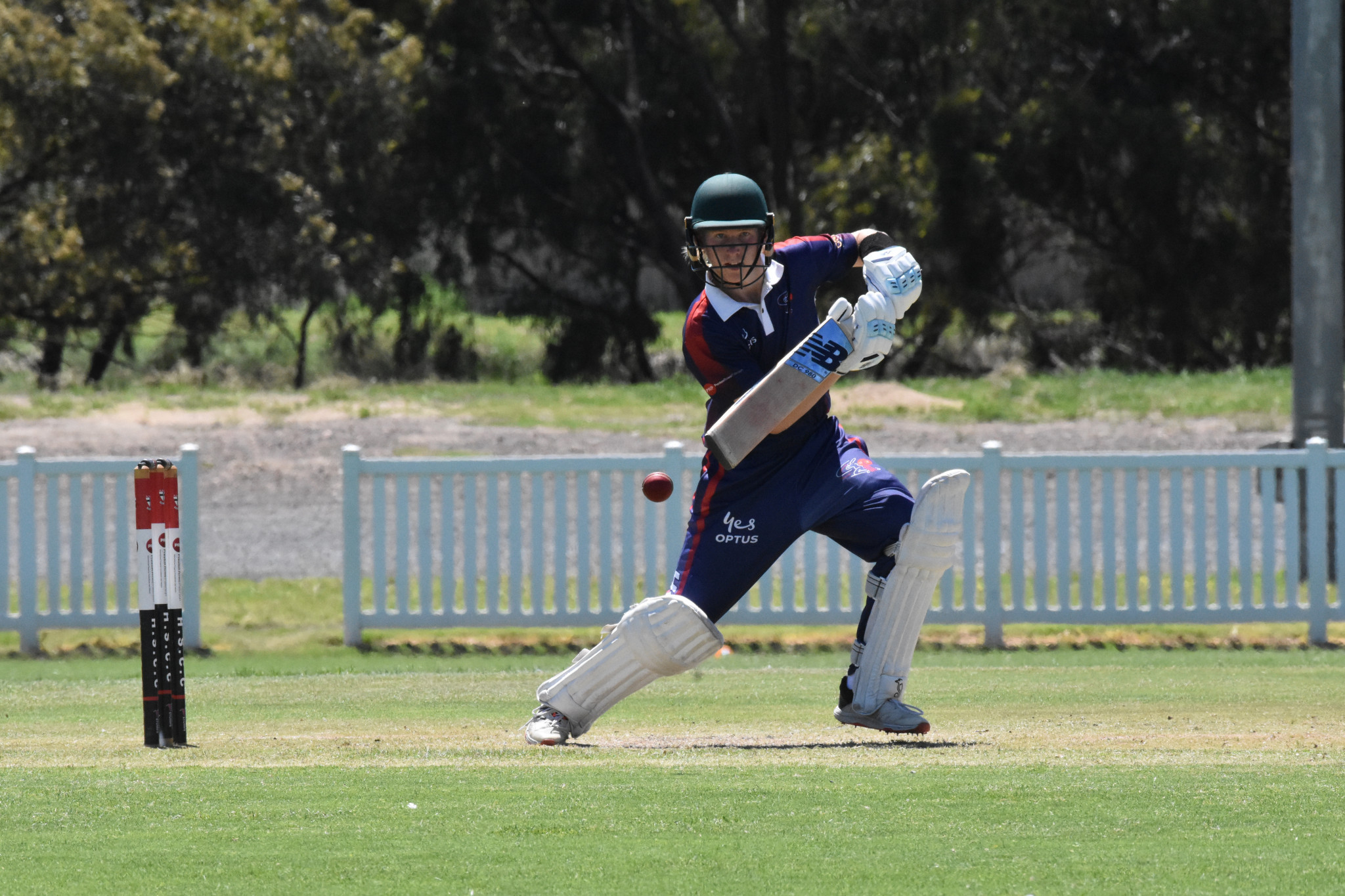 Harrison Hoffmann during 2024 Country Week for the Horsham Cricket Association. PHOTO: CHRIS GRAETZ