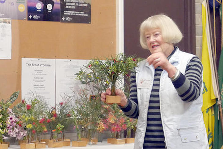 Local native plant green thumb Evelyn McColl talks about the collection on the specimen table at a meeting in 2023.