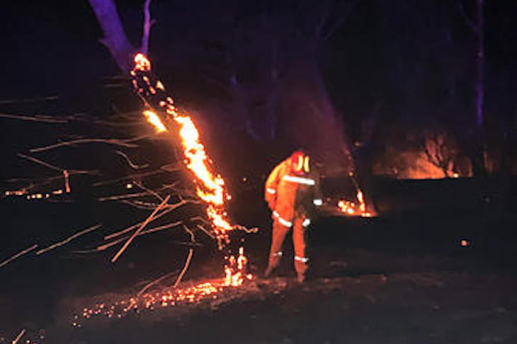 WIDOWMAKER: CFA District 17 commander Lindsay Barry inspects a burning tree ready to fall as the fire hits the outskirts of Dimboola on Monday evening. The tree is one of the thousands burned during the bushfires started by dry lighning in the Little Desert. Photo: DAVID WARD