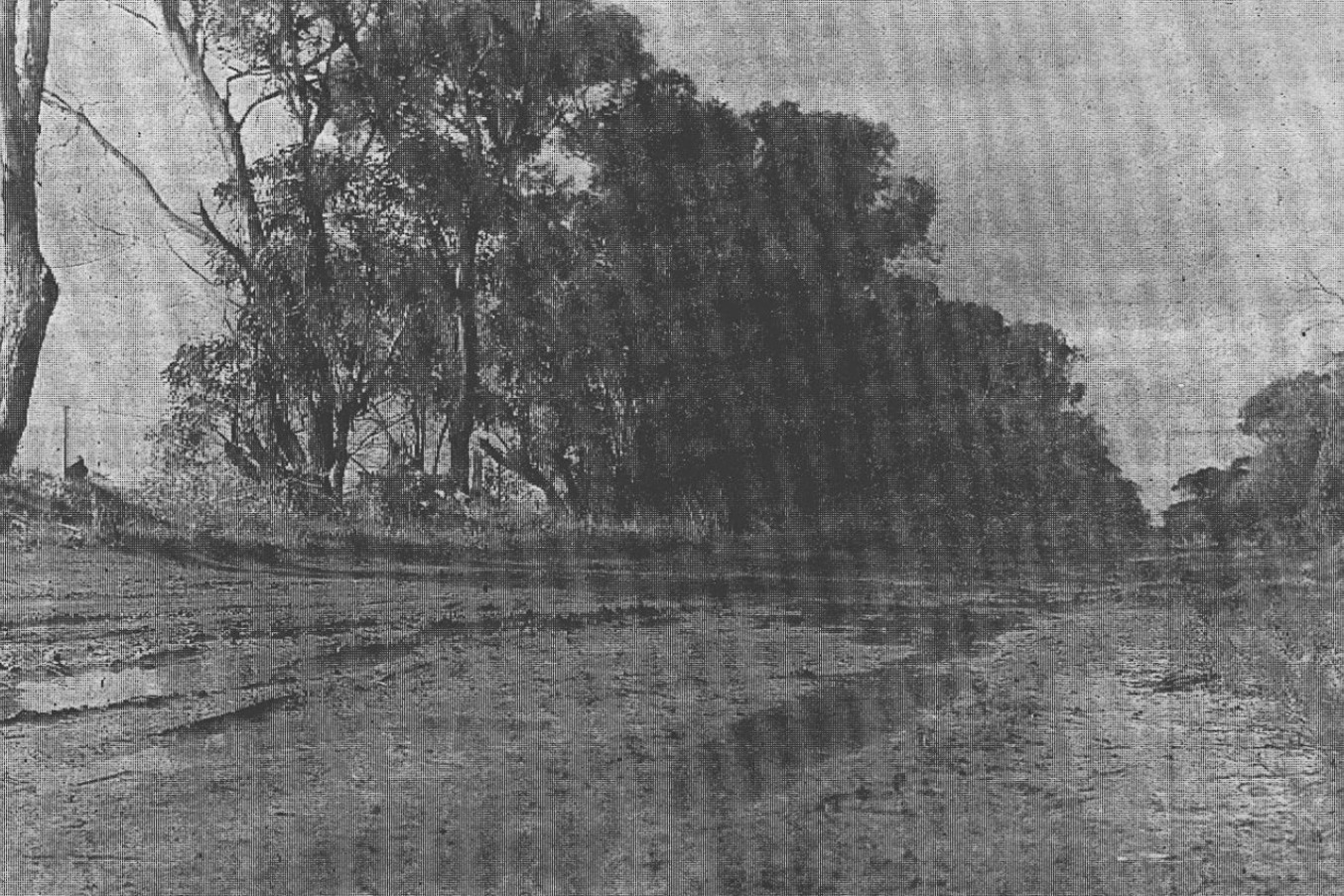 Horror stretch: Anyone viewing this picture could be excused for thinking it was taken in a wet year like 1974. Instead, it was earlier in August 1975, after a week of dry, windy weather. A family living four miles south of Hopetoun has to traverse this horror track to get to their home. When it becomes impassable, they have to go through paddocks to reach their destination.
