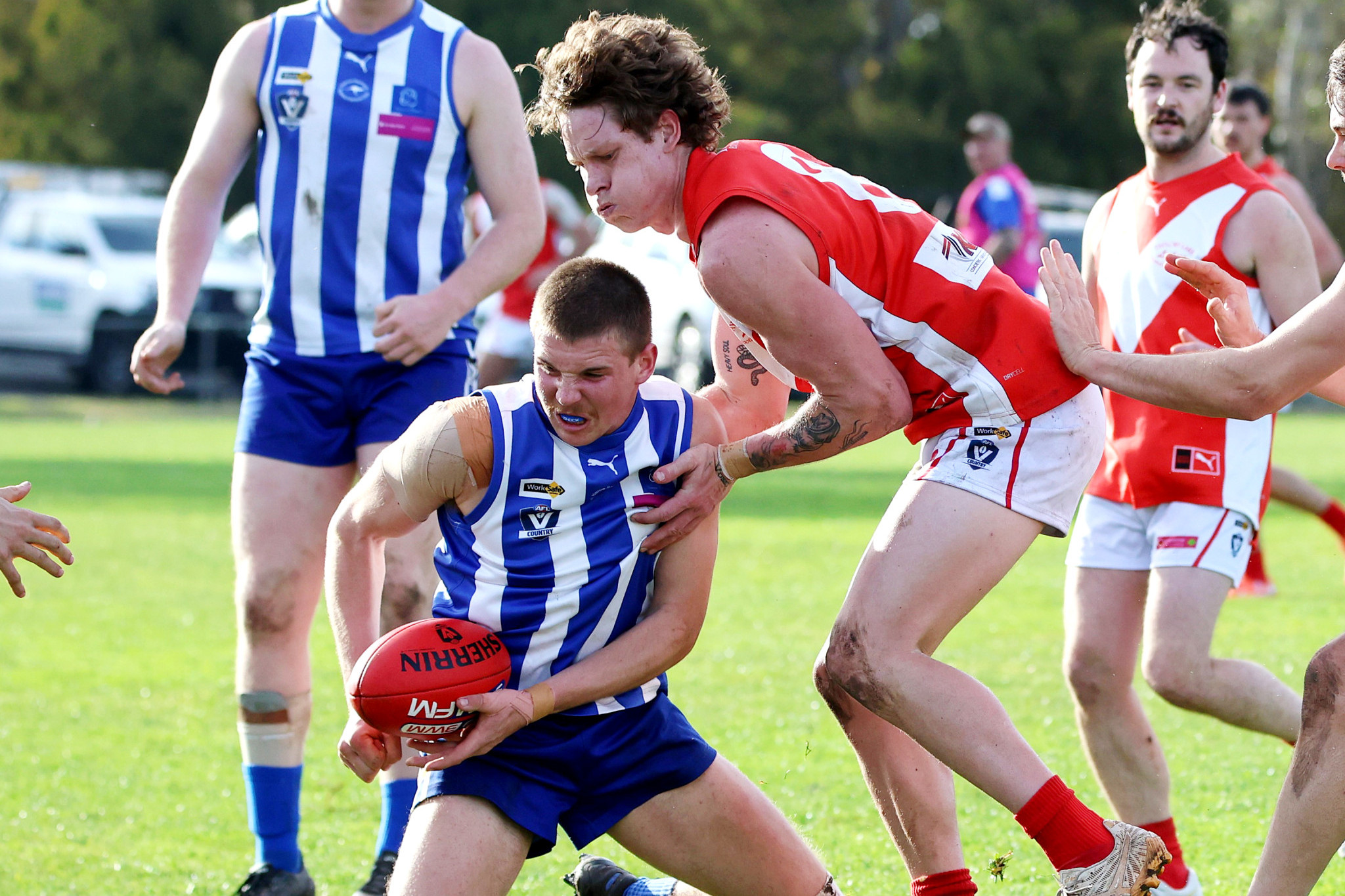 Harrow Balmoral looked to be back to their best form during their 159-point victory against Taylors Lake.