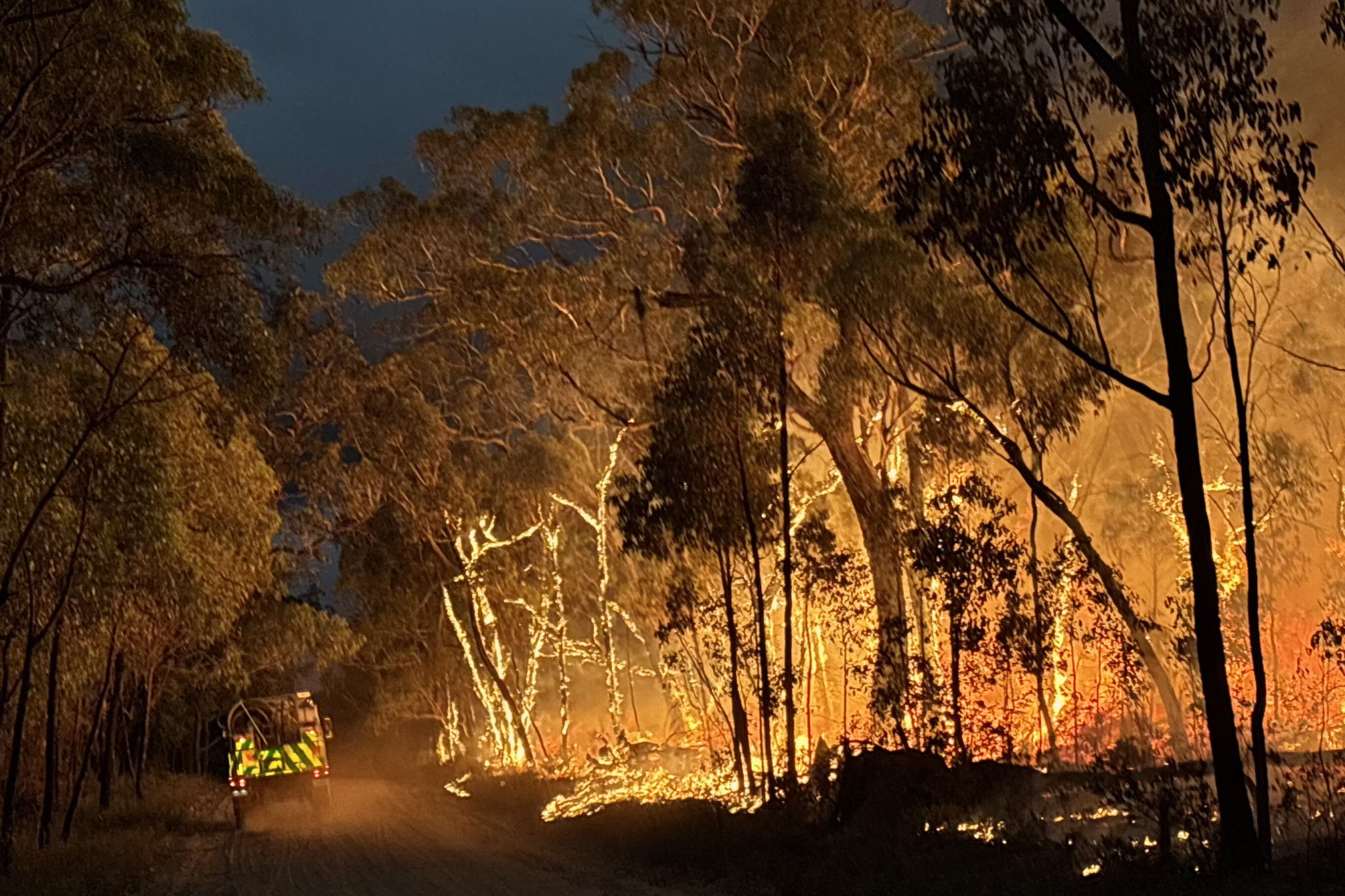 Raging flames engulf tress in Wallaby Rocks as firefighters battle to contain the spreading bushfires.