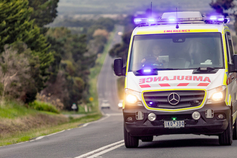 Ambos respond faster - feature photo