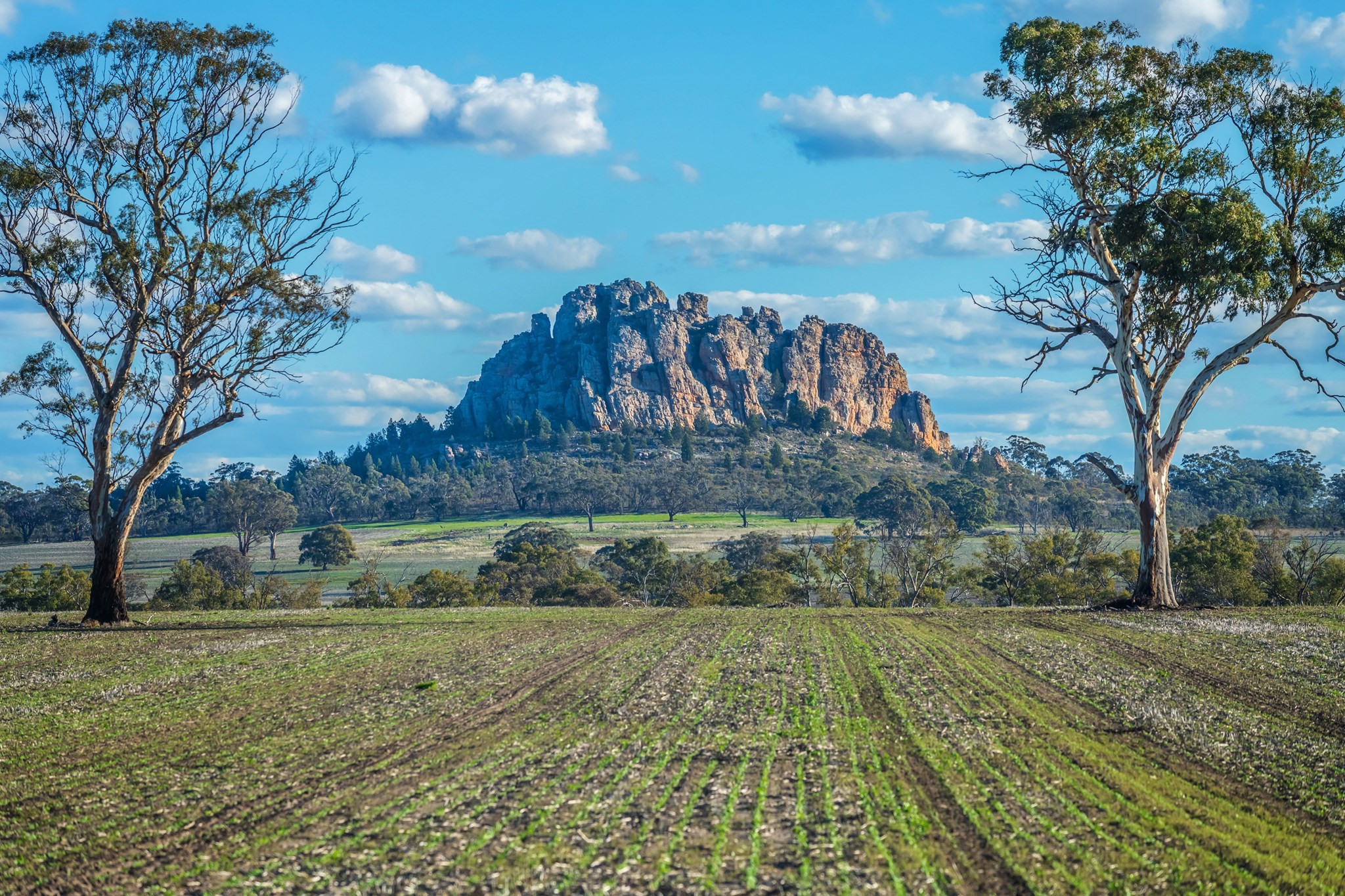 Mitre Rock near Natimuk.