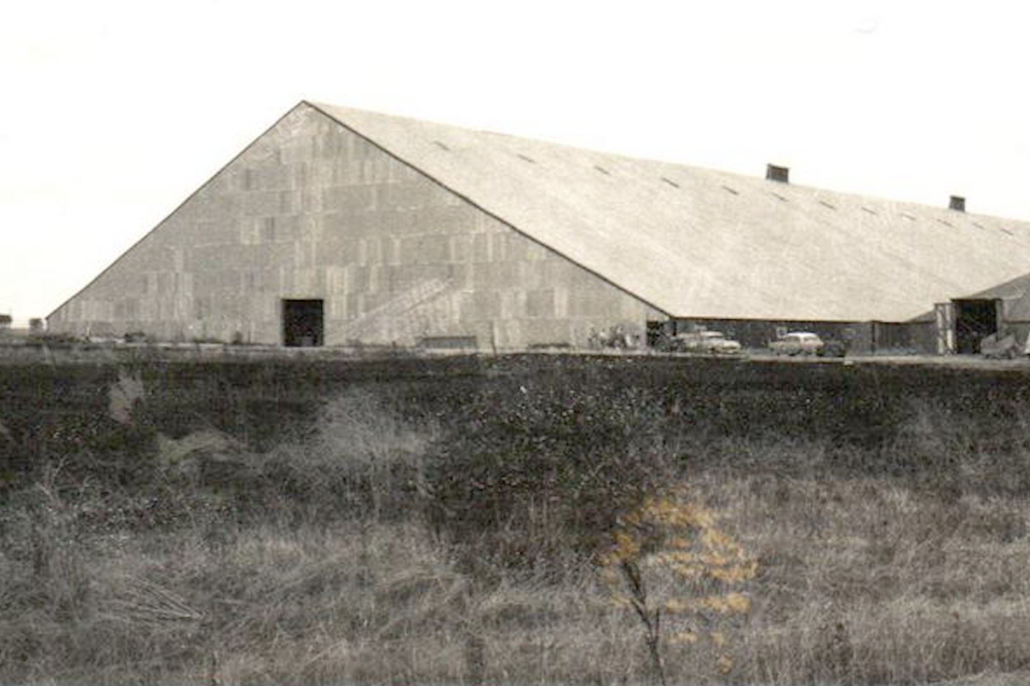 The eastern end of the second, larger, and now demolished shed, circa late 1960’s
