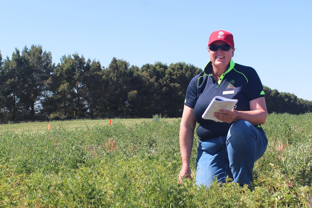 BCG research and extension officer Kelly Angel will present the latest developments in pulses at the organisation's 2024 Main Field Day.