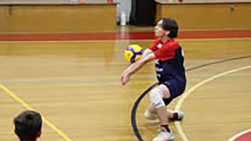 Top volleyball teams qualify