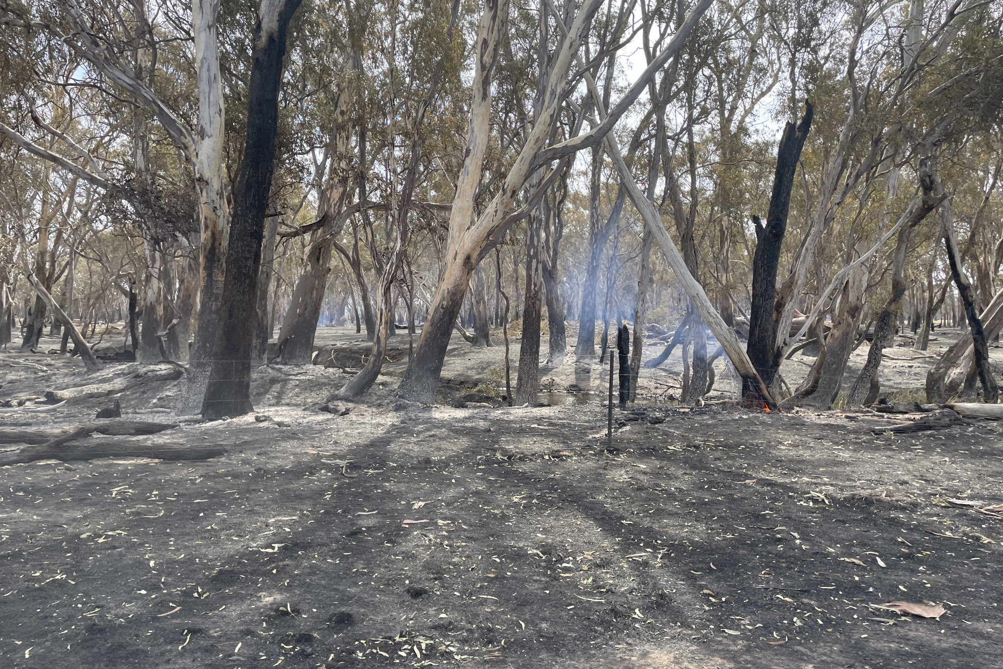 Multiple bushfires have torn through the state this year, and Easter travellers are being asked to take care when outdoors