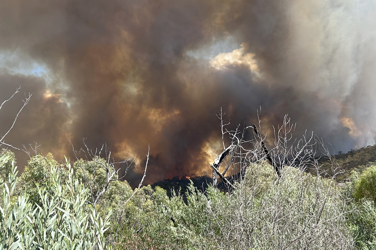 The Mount Stapylton blaze near Laharum CREDIT - Angus Verley