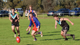 Panthers take down Swifts