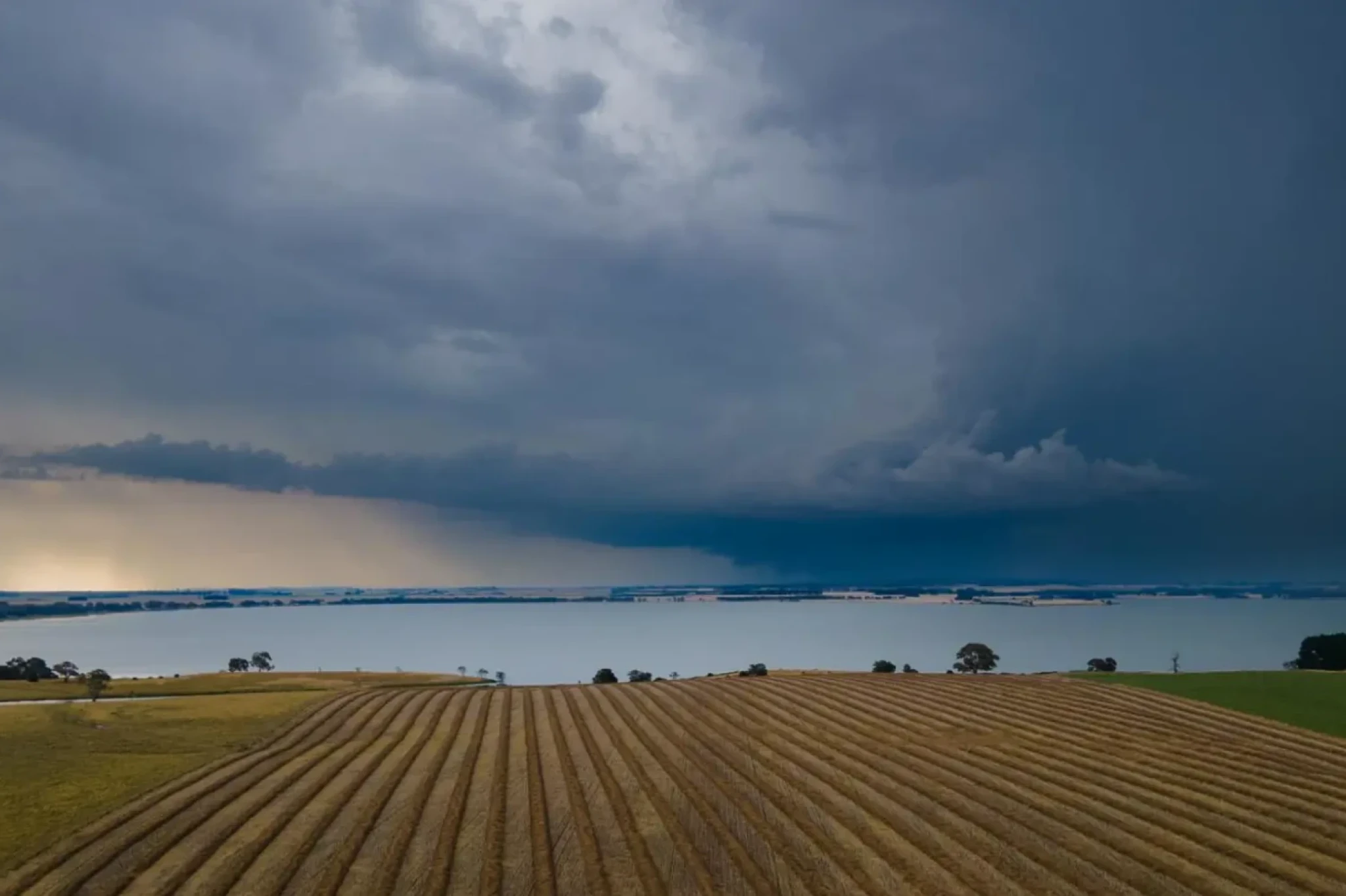 Rainfall Mapper app enables farmers to make more informed decisions, including with crop planning and irrigation strategies. Image: Emma Burnham