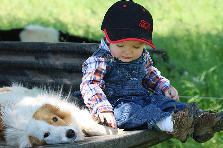 Succession planning session for farming families - feature photo