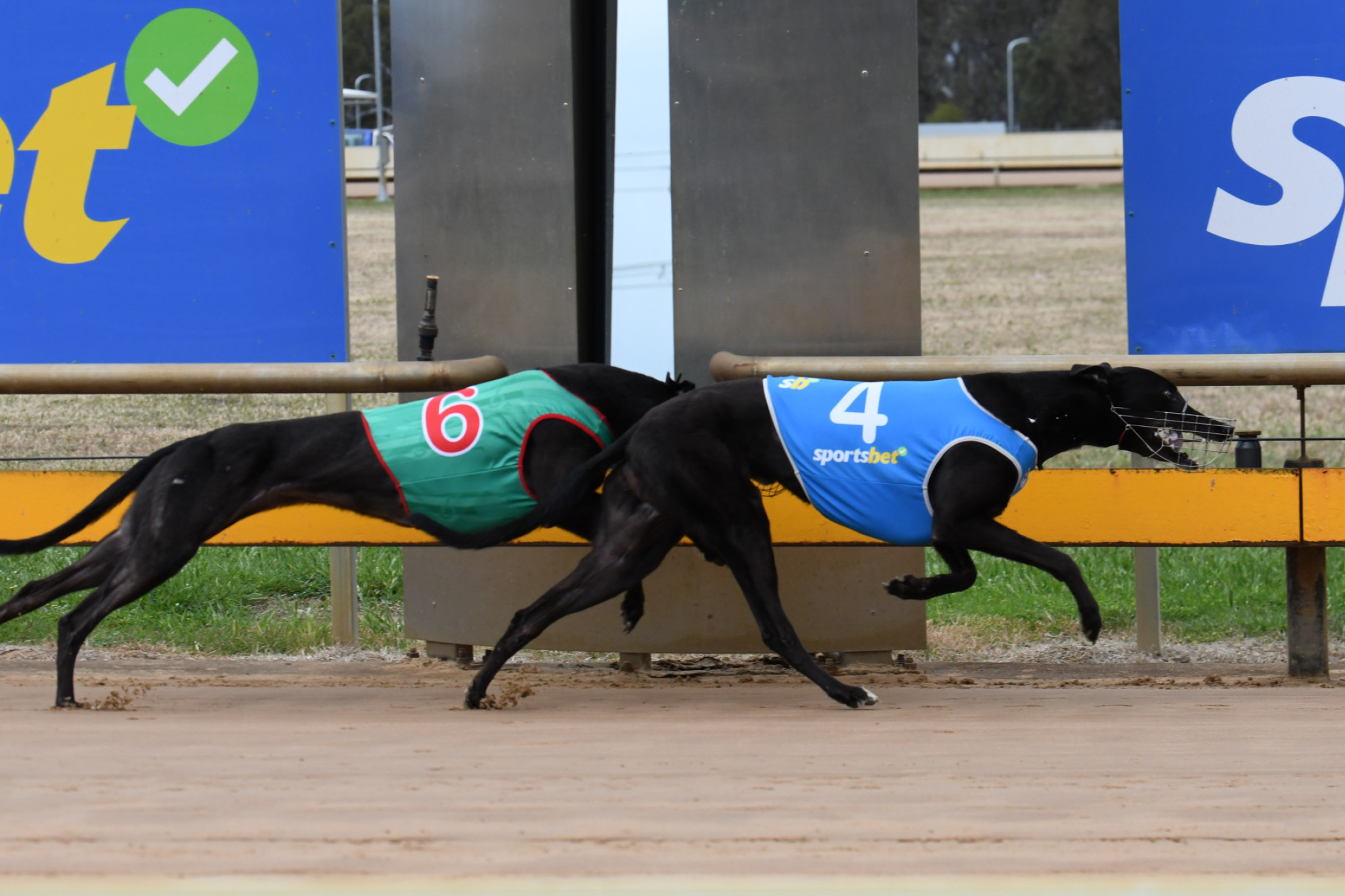 Mean Peace Winning For Garry George on Tuesday at Horsham. PHOTO: PETER CARTER