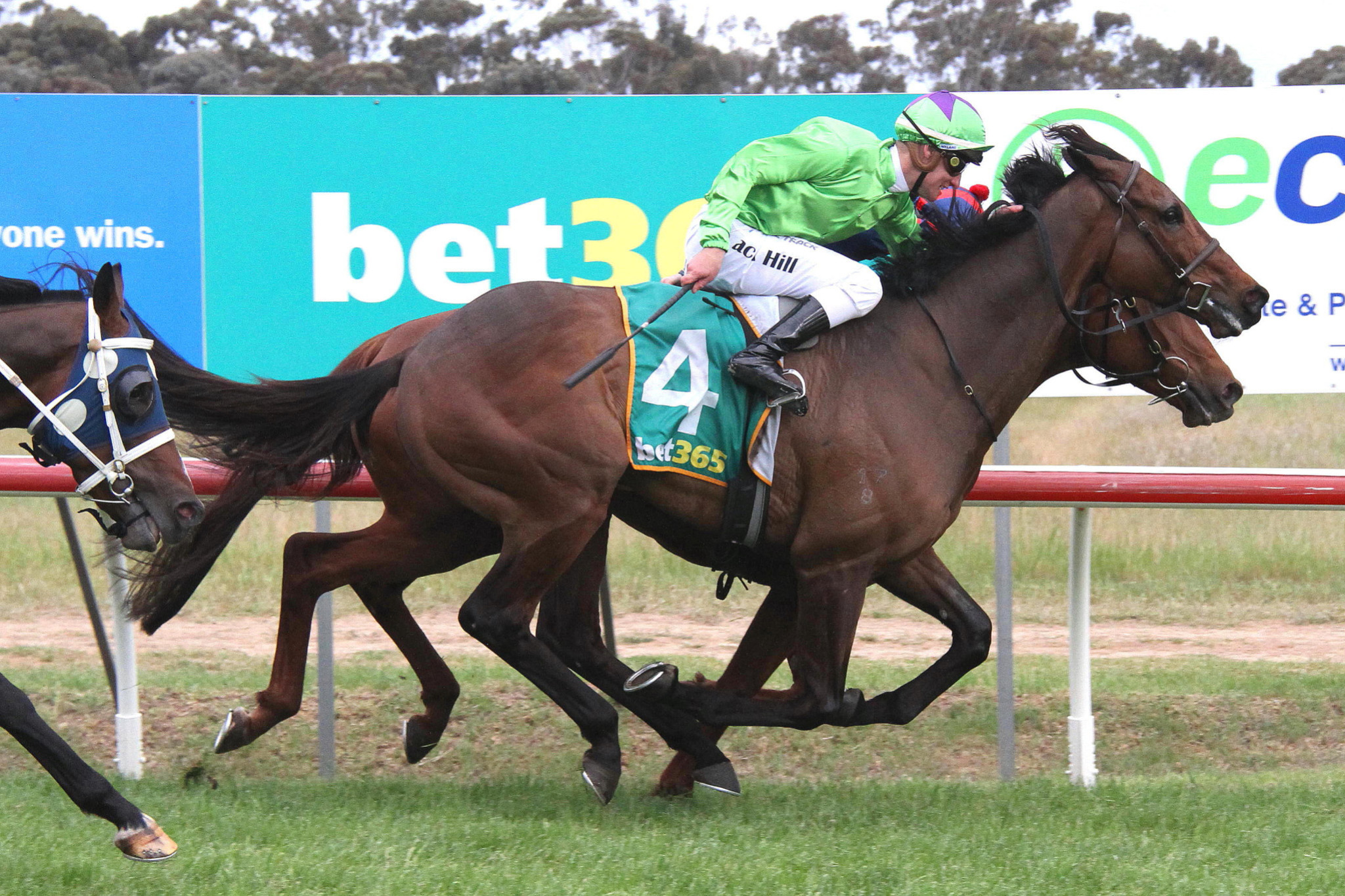 Murtoa Cup winner Station One and jockey Jack Hill. PHOTO: MATTHEW RIGBY