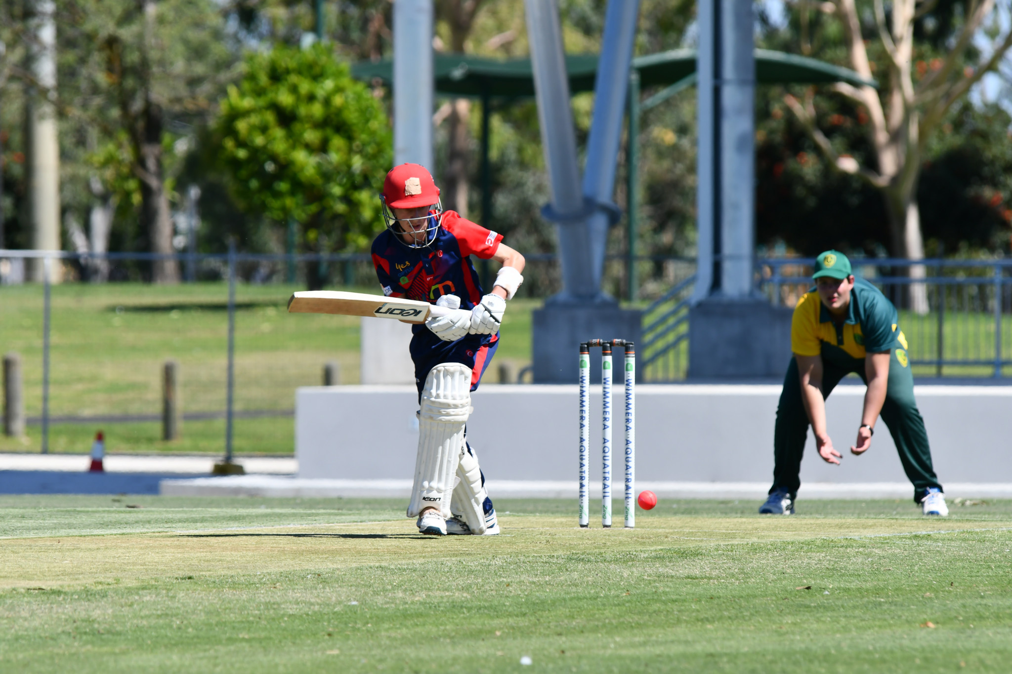 Phoenix Hopper led the way for HCA with 116 runs at an average of 23.2 and took two wickets. PHOTO: TONY TOMLINS