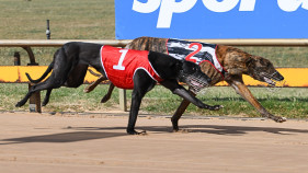 George, Gurry lead in winners