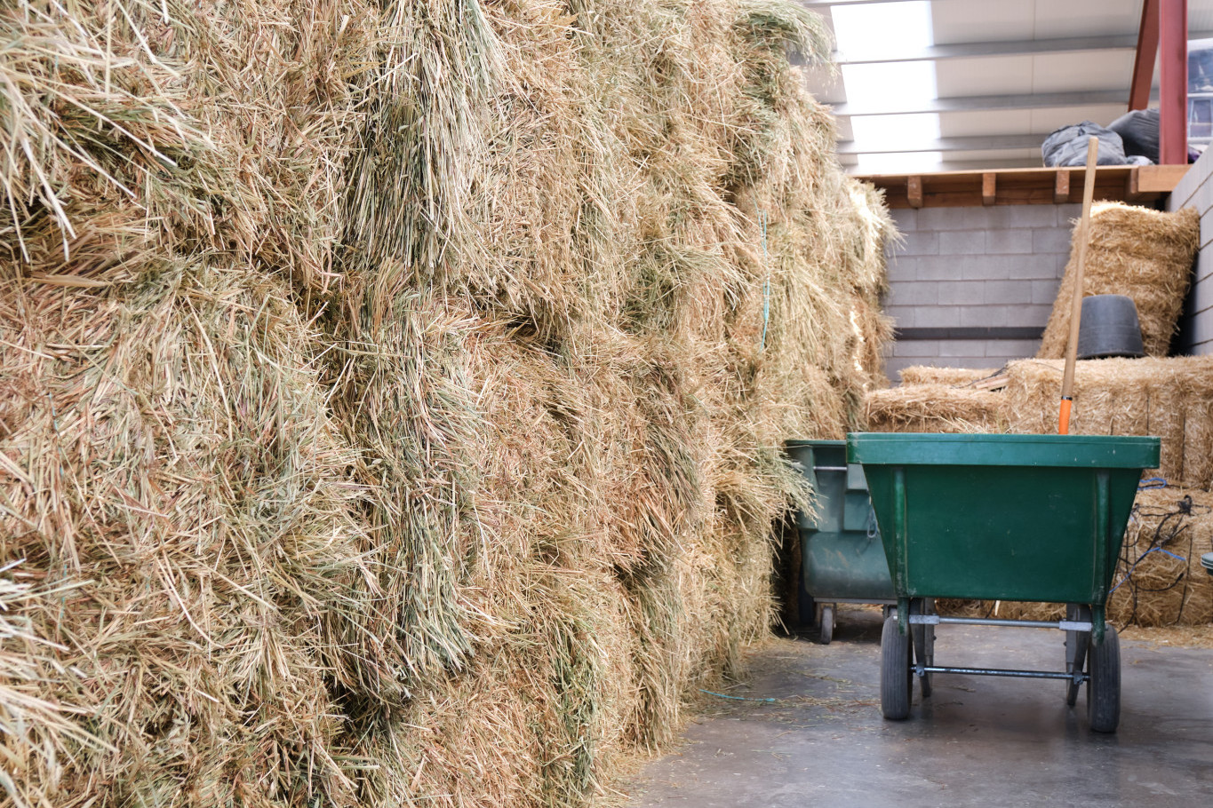 Premier relaxes fodder delivery conditions - feature photo