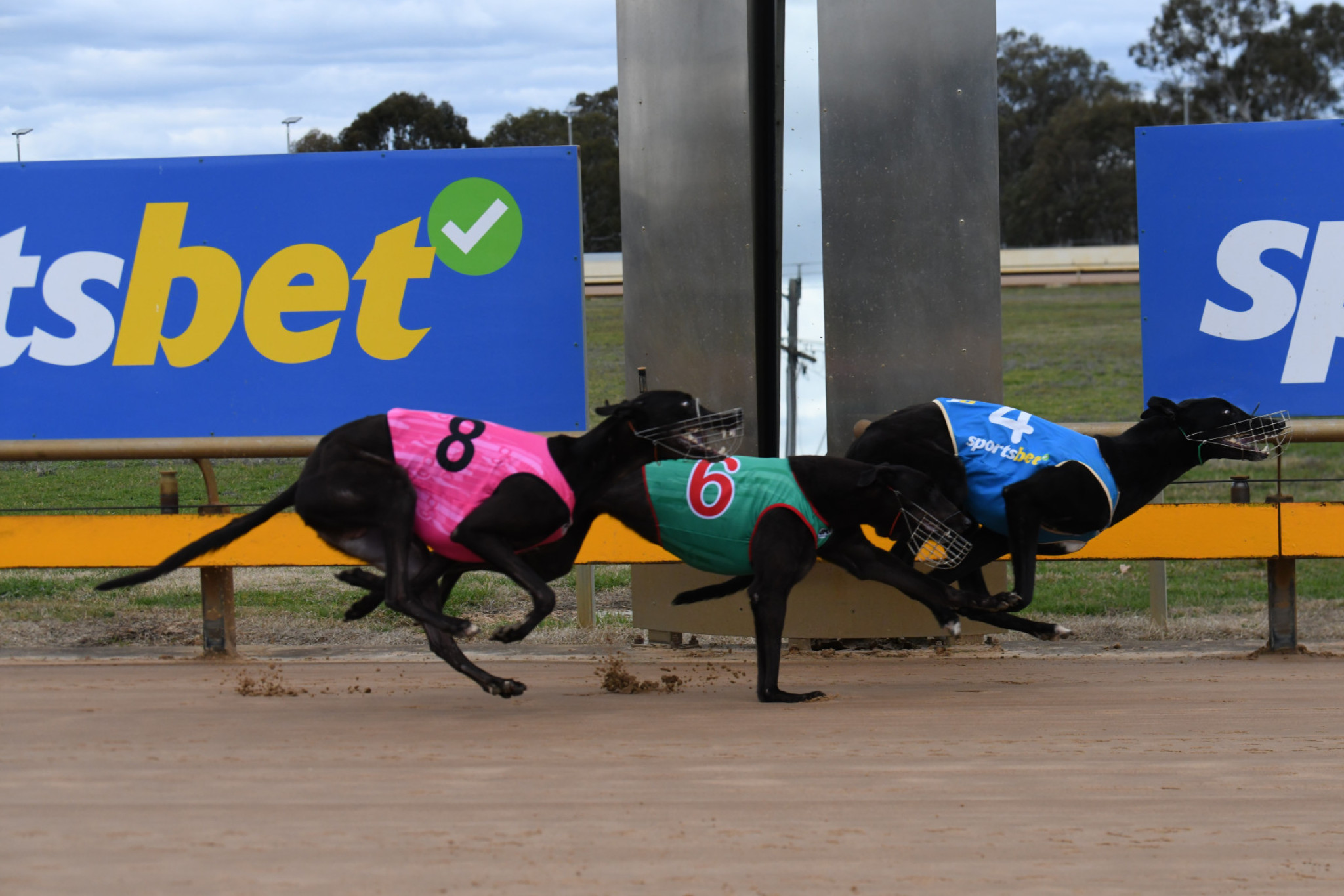 Talkin Bluey winning at Horsham for team Hartigan. PHOTO: PETER CARTER