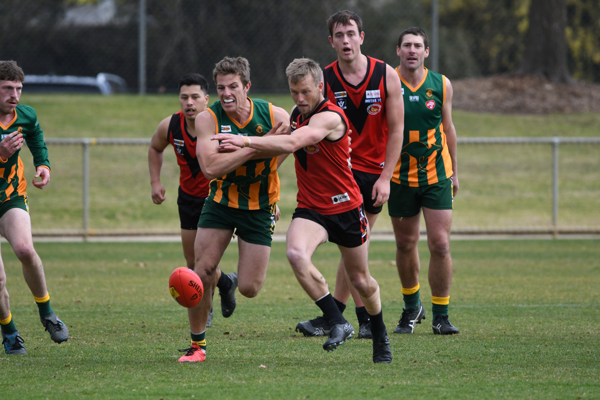 Stawell's Tom Eckel (right) is the best midfielder in the current competition, the favorite to take out another Toohey medal for league best and fairest, and potentially coach of the year. PHOTO: STEPHEN WALKER