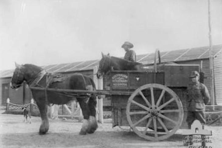 Calais, France. March 31, 1919. A horse float used for conveying sick horses at the Australian Veterinary Hospital.
