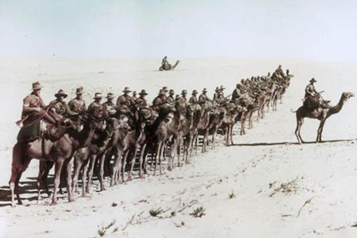 1st Battalion Imperial Camel Corps.