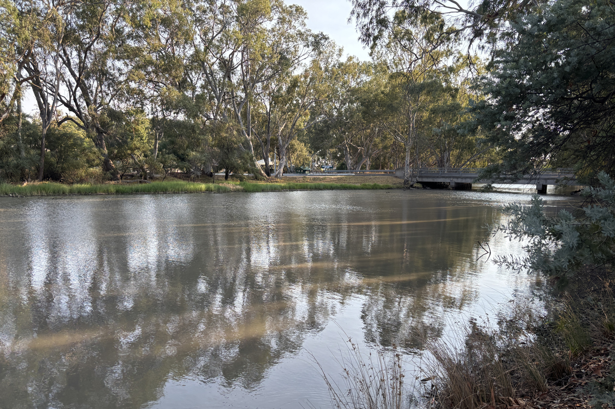 Warracknabeal's Yarriambiack Creek. Photo: CAITLIN MENADUE