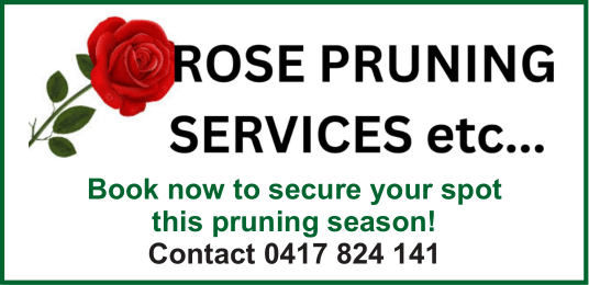 rose-pruning.-1.png