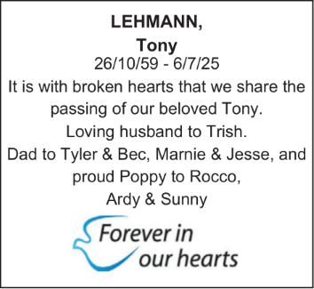 lehmann.-1.png